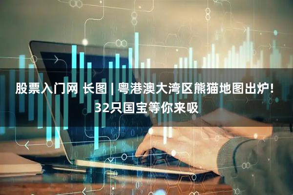 股票入门网 长图 | 粤港澳大湾区熊猫地图出炉! 32只国宝等你来吸